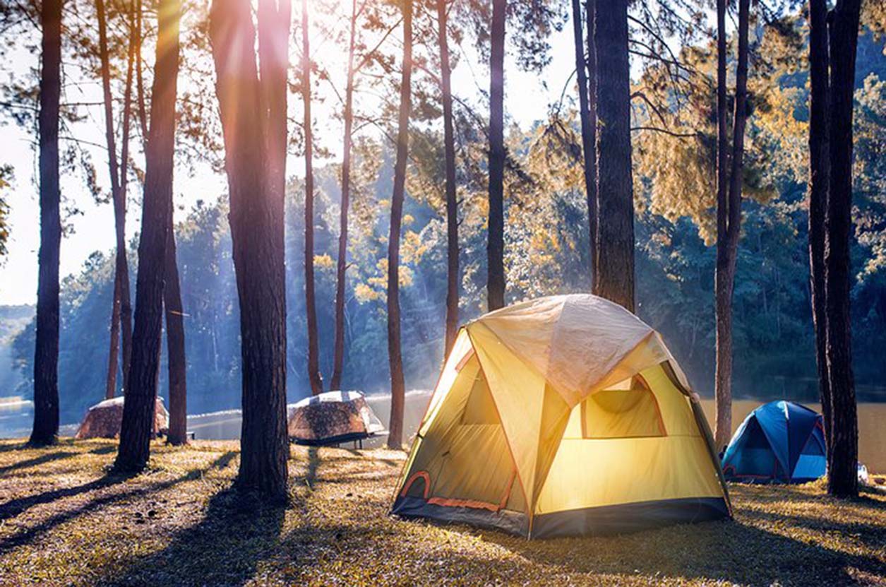 El Reino del Camping: Explorando la Naturaleza de Ubud a Través de la Acampada