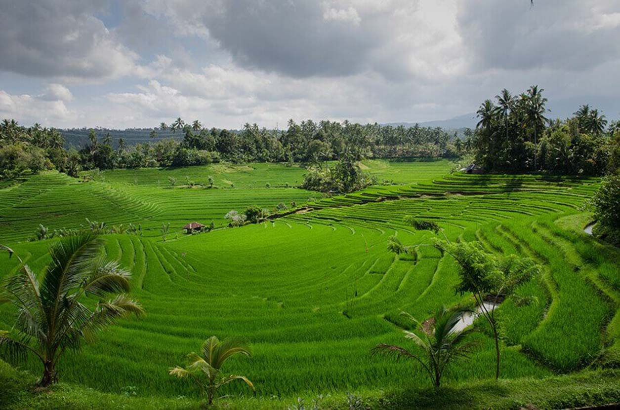 Guía de Ahorro: Descuentos y Ofertas para Tu Viaje Económico a Bali