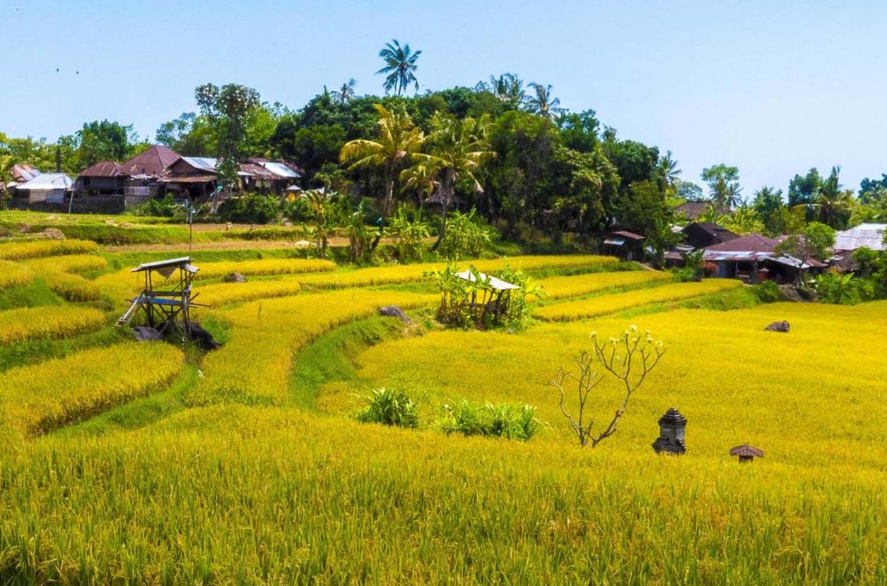 Maravillas naturales de Bali: Las espectaculares vistas de sus playas, volcanes y campos de arroz